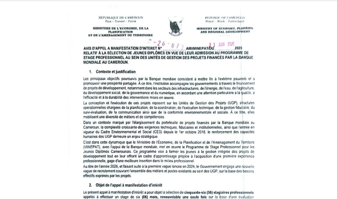 AMI STAGIAIRES BM-MINEPAT 2026