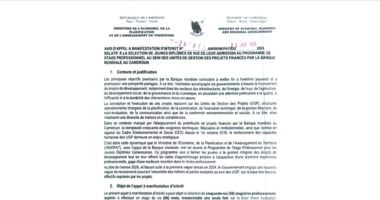 AMI STAGIAIRES BM-MINEPAT 2026